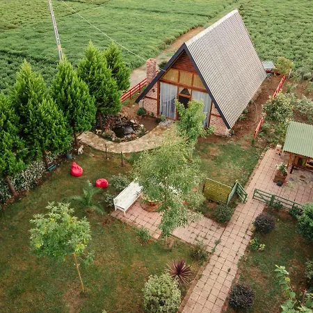 Tenora Rize Exterior photo
