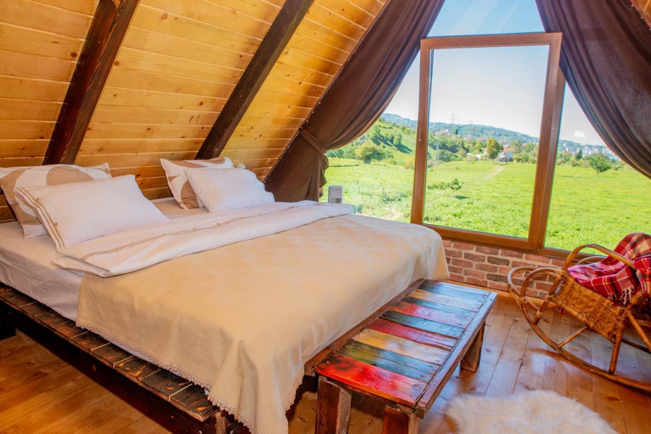 Tenora Campsite *