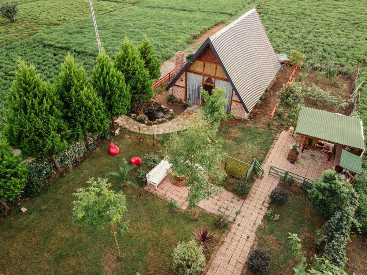 Campsite Tenora *