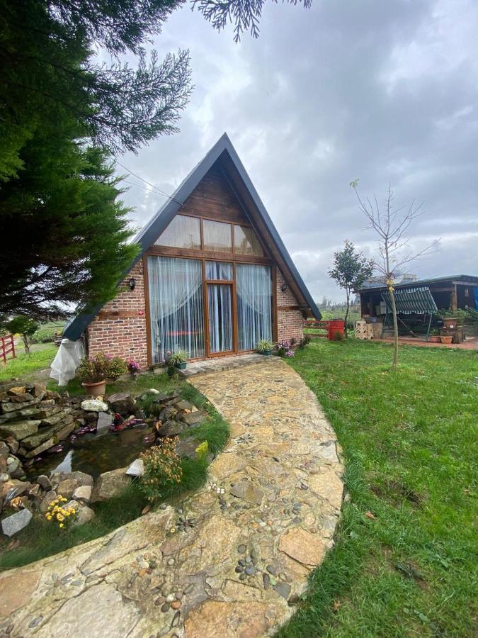 Campsite Tenora