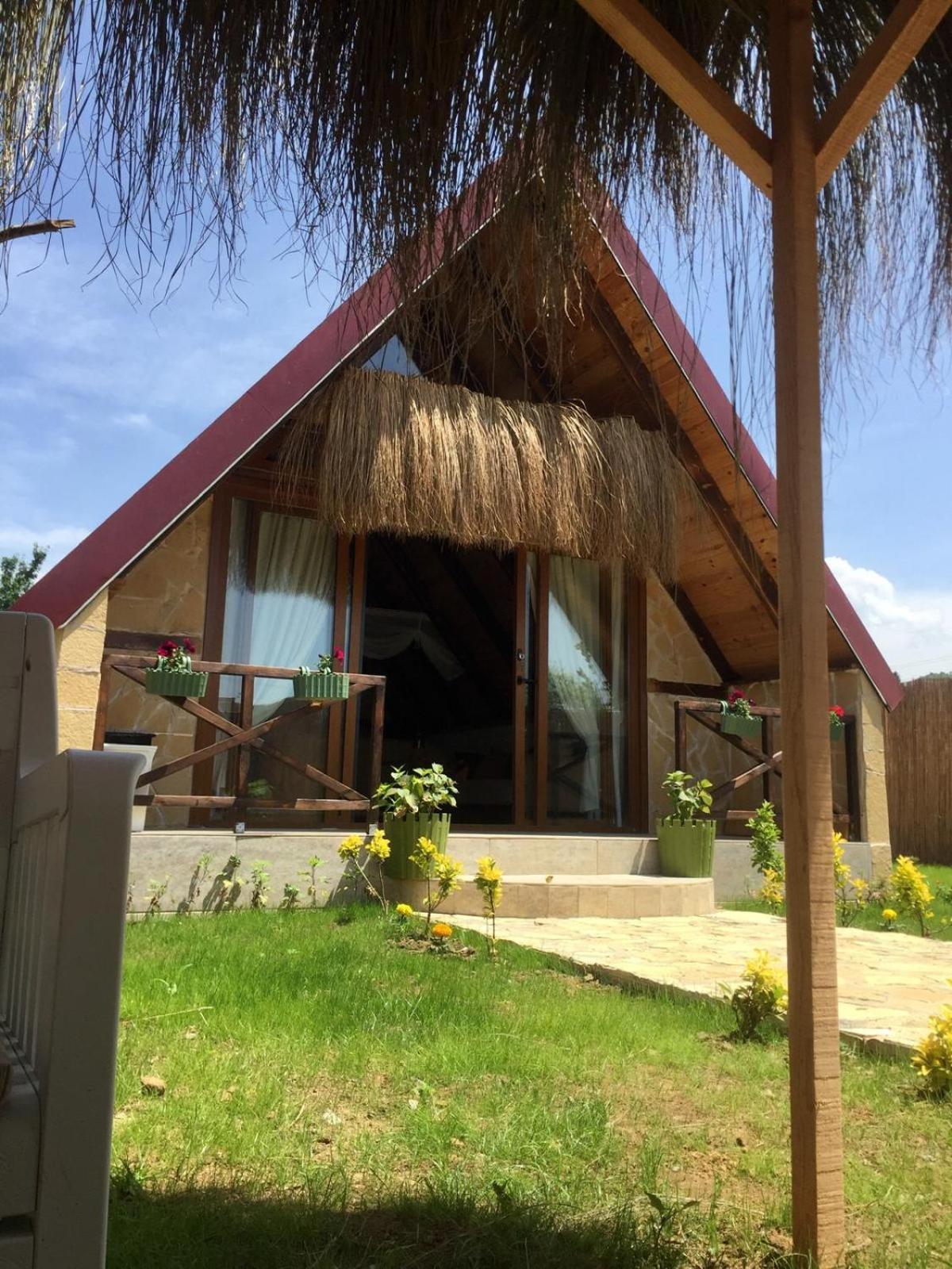 Tenora Campsite Rize